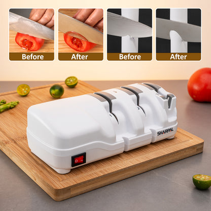 198H Electric Knife Sharpener with Diamond Wheels